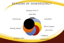 Organizational Downsizing and Survival Syndrome - 1202 Words | Essay Example