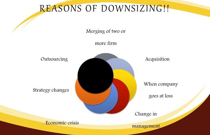 Organizational Downsizing and Survival Syndrome - 1202 Words | Essay Example