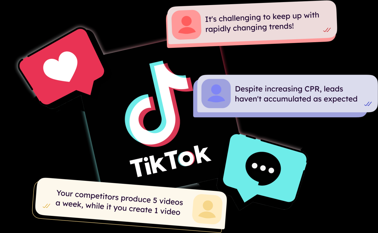 TikTok E-Commerce Management Services | Red Dino Ventures